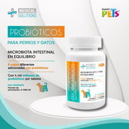 Probióticos en tabletas para perros y gatos - Img 57759131