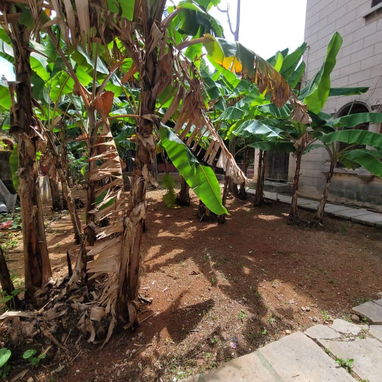 Venta de mansion en el vedado - Img 124365958