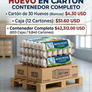 Huevo por contenedor - Img 57848009