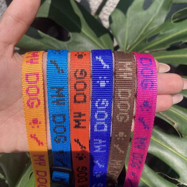 COLLAR PARA PERROS PEQUEÑOS Y MEDIANOS - Img 121851195