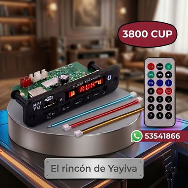 Módulos de audio sin y con amplificador - Img 124341055