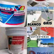 Pintura impermeabilizante engomado - Img 56367305