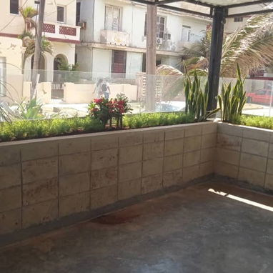 Servicio de jardinería 🧑🌾 - Img 119715834
