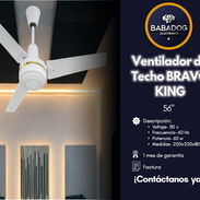 Ventilador de techo - Img 55756105