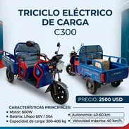 Triciclo Eléctrico de Carga C-300 Mini resumida de forma clara y organizada:🚲 - Img 56024491