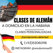 CLASES DE ALEMÁN PERSONALIZADAS A DOMICILIO EN TODA LA HABANA. 53060116 - Img 48826774
