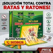 Pegatinas para  ratones y guayabitos - Img 55626963