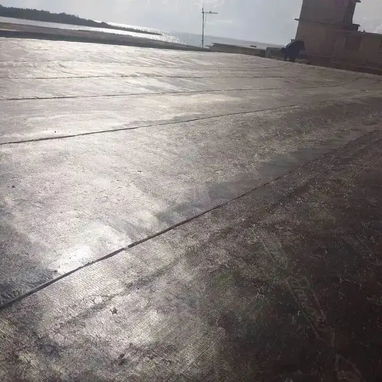 Hacemos reparaciones y montajes con mantas de techo - Img 124115724