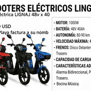 MOTOS - Img 57049174