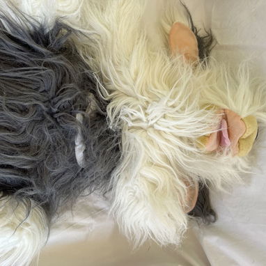 🧸VENDO PELUCHES❗️❗️❗️❗️ - 9/9