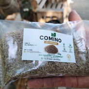 Comino en grano por cantidad - Img 56854318