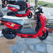 Bicimoto Wilz 2026 48v x 20amp gel Motor 500w Autonomía de 50 a 60 km Colores Pulpura,rojo,azul y blanco,negro 1100 USD - Img 57032539