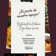 Buscamos cocinero - Img 56141533