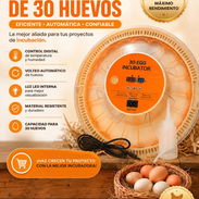 Incubadora de huevos - Img 55856886