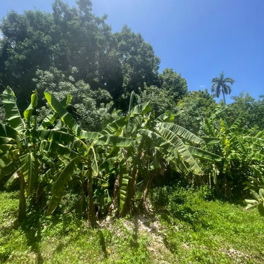 Venta de finca en el municipio boyeros - 4/10