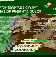 SE VENDE SACO DE HOJAS DE PIMIENTA DULCE 1800 CUP - Img 48950620