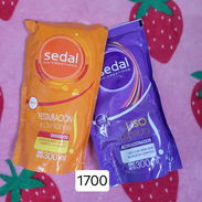 Juego de shampoo y acondicionador - Img 58013226