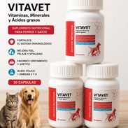 Vitavet (Omega 3, 6, 9 y multivitaminas) - Img 55669225