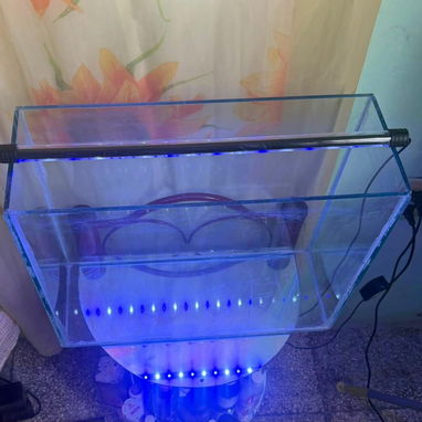 Vendo pecera de uso, bien cuidada con sus accesorios - 2/6