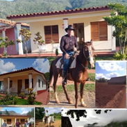 📍 Cod. Z - Alquiler y Excursiones a Caballo en Viñales.  Oferta Especial por 50 USD - Img 53432478