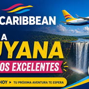 Vendo pasajes para diferentes países y tramito visas - Img 55600786