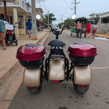 MOTO ELECTRICA RALI 3 RUEDAS - Img 118943819