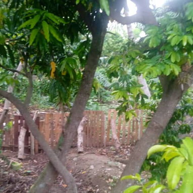 Se vende esta casa 🏡 Reparto Vista Bella Camagüey - Img 124568758