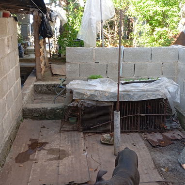 Vendo mi casa 🏡 - Img 120190066