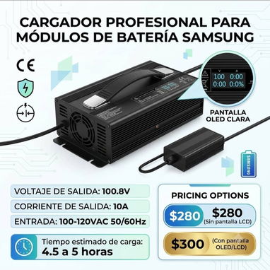 Baterías Samsung y Cargadores para triciclos , motor - 5/6