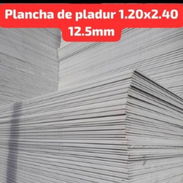 Plancha de Pladur - Img 55790561