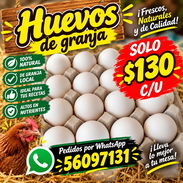 Huevos por unidad y el cartón completo - Img 57470193