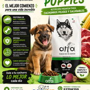 PIENSO IMPORTADO PARA PERROS CACHORROS. BOLSA 4 Kg - Img 56326084