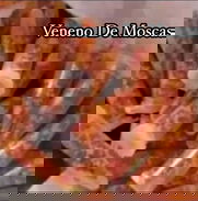 Veneno de mosca en venta - Img 45770922