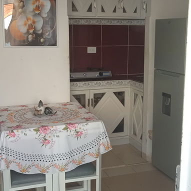 *#134 Luyano*  *Diez de Octubre.*  _Ref.: Hospital Miguel Enriquez_   *Apartamento semi - interior en alto 9000usd - Img 121285505