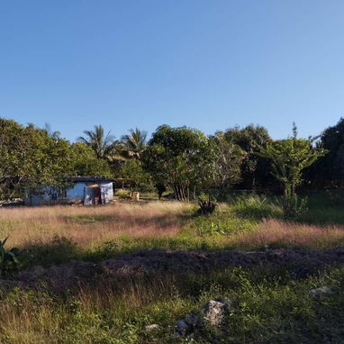 Finca en la zona de la UCI. - Img 125936937