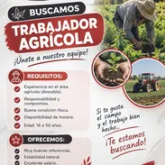 BUSCAMOS TRABAJADOR AGRÍCOLA!!! - Img 57750355