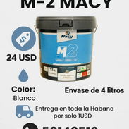 PINTURA MATE M-2 MACY COLOR BLANCO - Img 55253107