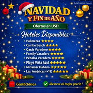 Hoteles para fin de año y navidad - Img 58171389