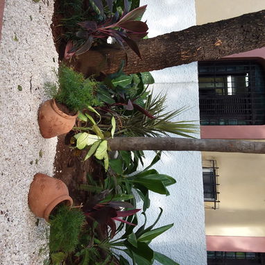 Todo en jardinería y paisajismo - 5/8