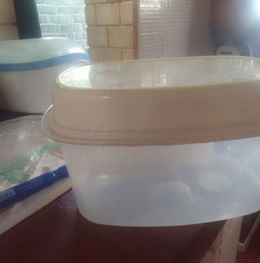 VAPORERA PLASTICA PARA HORNO MICROWAVE - Img 87209772