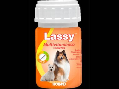 Vitaminas Lassy. Suplementos para el pelo y piel de perros y gatos - Img main-image-45137874
