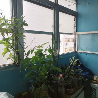 Venta apto Esquina de Tejas - Img 121726845