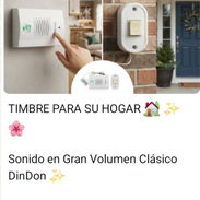 Timbre con un tono clásico y un estilo moderno - Img 58117438