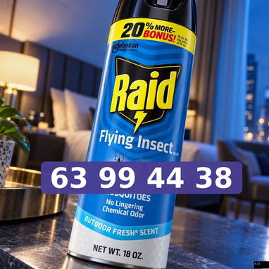 Raid mosquitos - 2/3