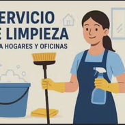 Servicio de limpieza de casas, aptos y locales - Img 56794296