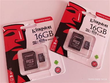 MicroSD 16 Gb - Img main-image-43537450
