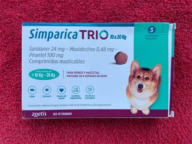 Vendo pastillas desparasitantes de perros - Img 64908188