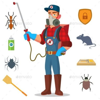 Fumiga Paquito EXTERMINA ESOS BICHOS YA - 4/5