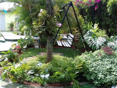 Venta o Alquiler por Tiempo Casa con piscina en propiedad, jardines, frutales, amplias área para siembra y almacenaje - Img 43537180