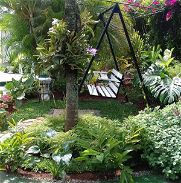 Venta o Alquiler por Tiempo Casa con piscina en propiedad, jardines, frutales, amplias área para siembra y almacenaje - Img 43365224